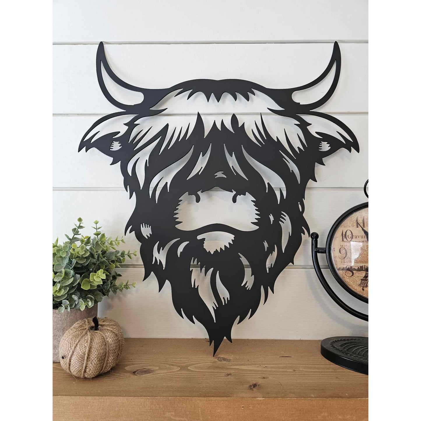 Bearded Highland Cow